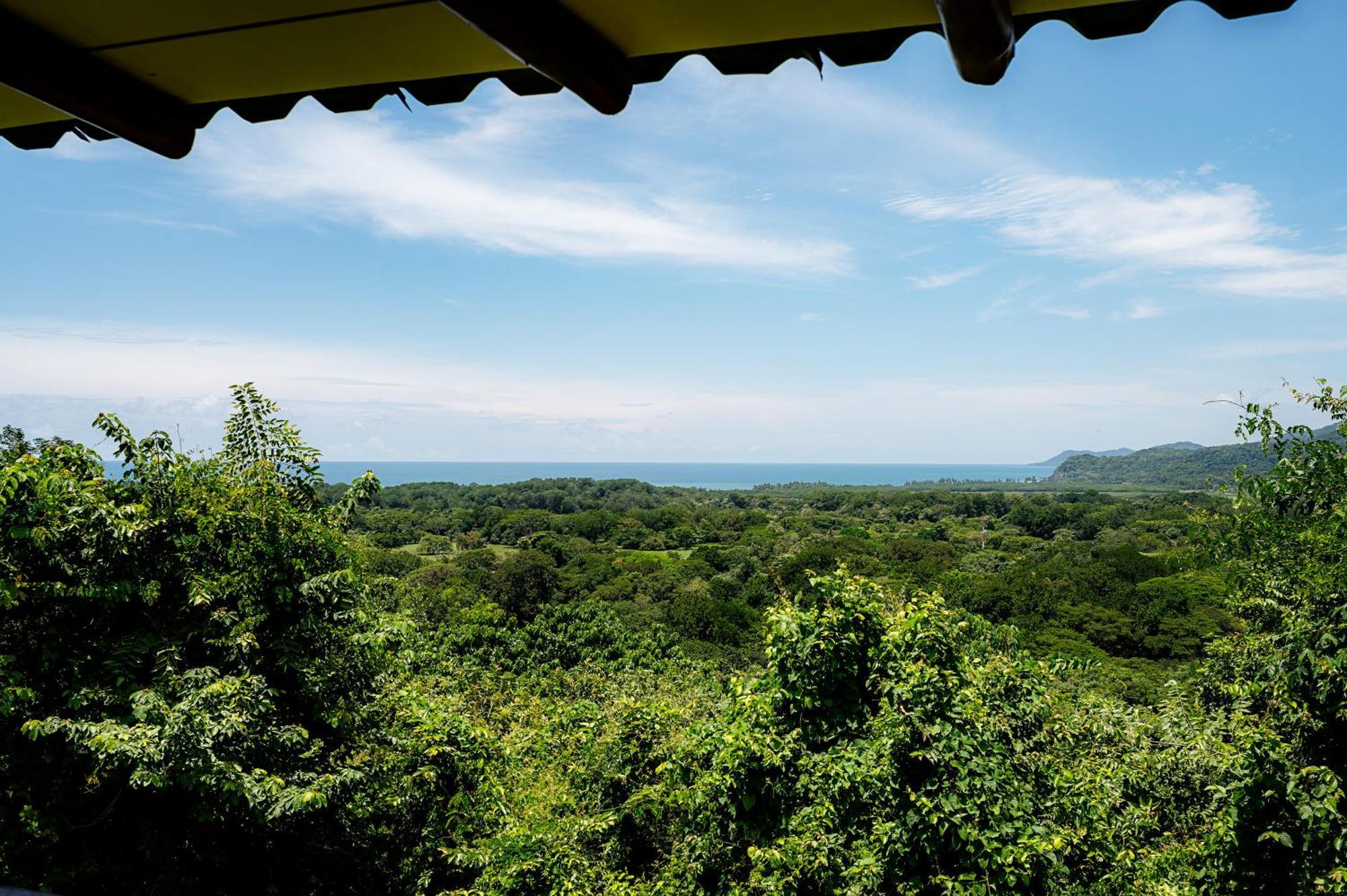 Playa Bejuco  Casa Laureles Bed & Breakfast エクステリア 写真